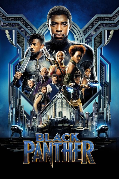 Download Black Panther (2018) Hindi DD5.1 + English IMAX BluRay 480p 720p 1080p