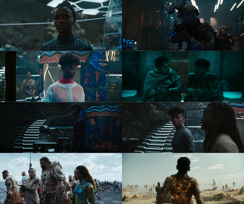 Download Black Panther: Wakanda Forever (2022) Hindi (ORG 5.1) & English iMAX WEB-DL 480p 720p 1080p