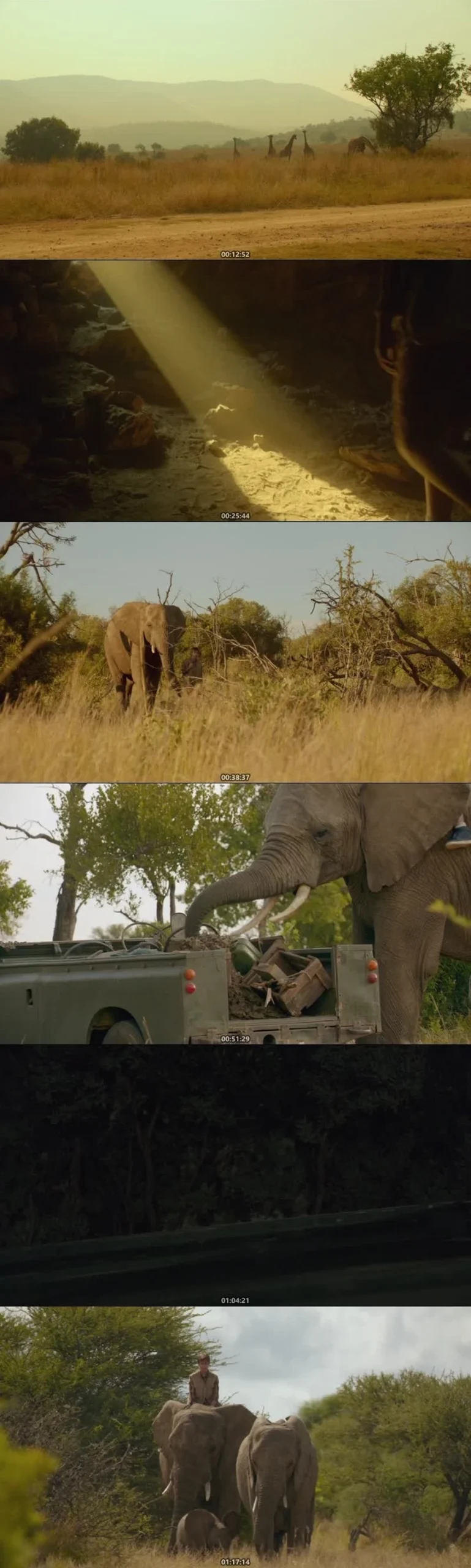 Download An Elephant's Journey (2018) Hindi-English BluRay 480p 720p 1080p